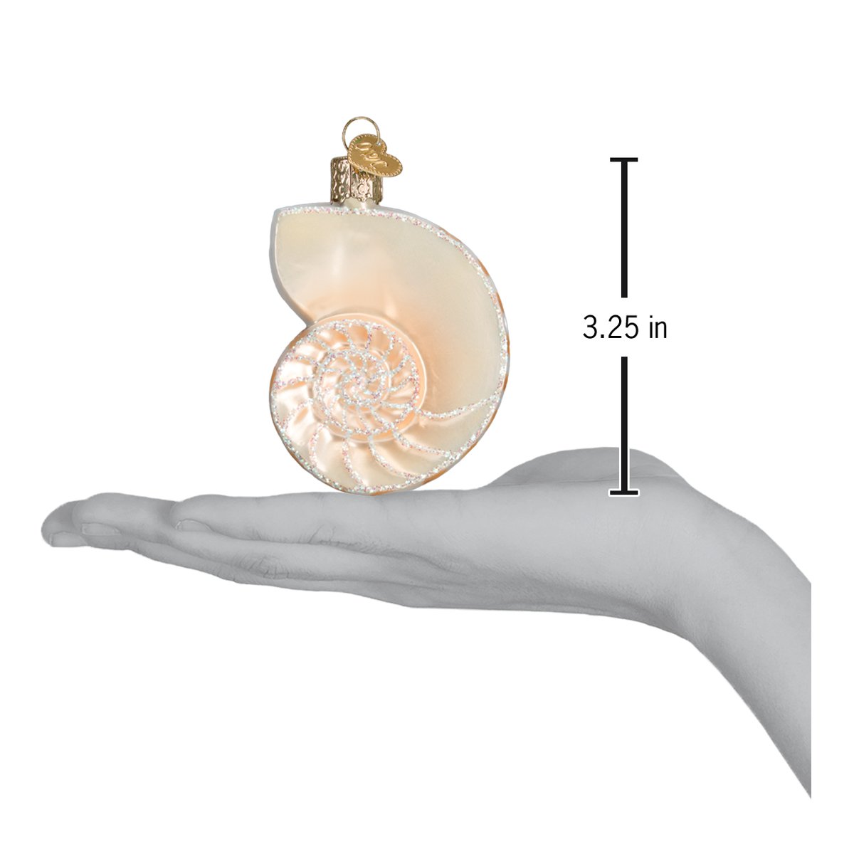 Nautilus Shell Ornament NOT AVAILABLE AT MINDEN STORE