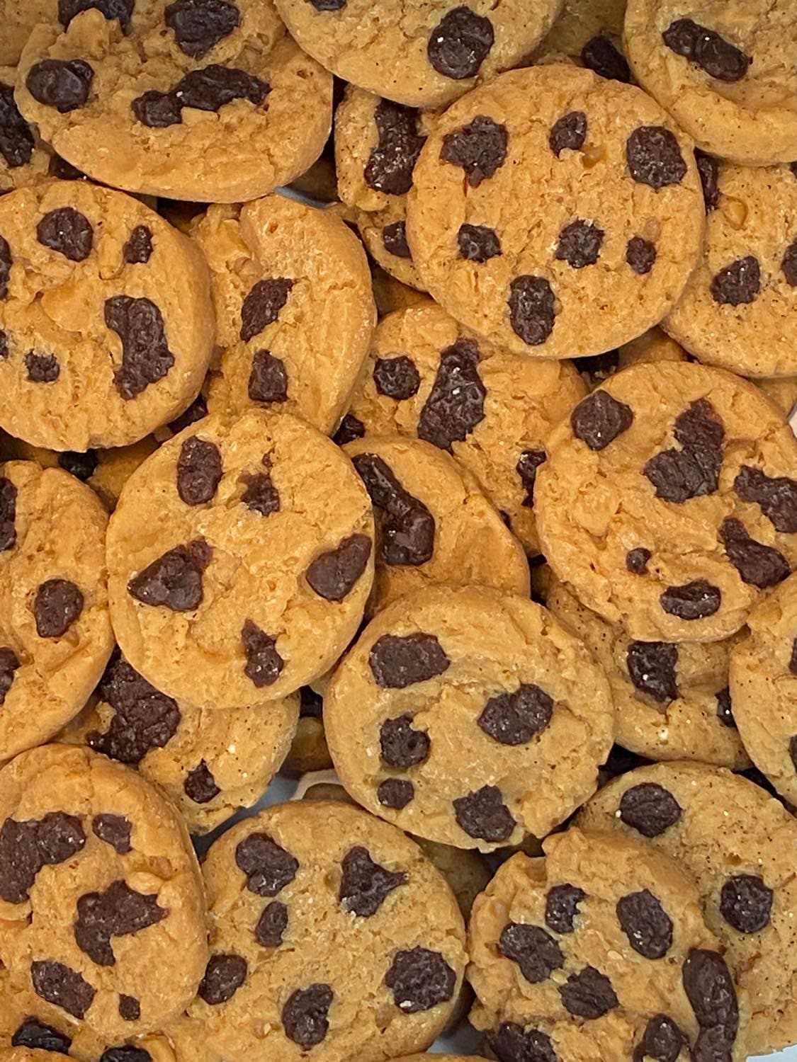 Wm41a Chocolate Chip Cookies Wax Melts 1oz