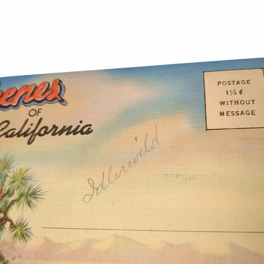 Vintage Desert Scenes of California Folding Postcard Wallet