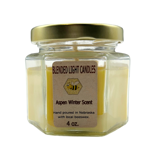 Aspen Winter Scented Candle | Multiple Sizes | Blended Light