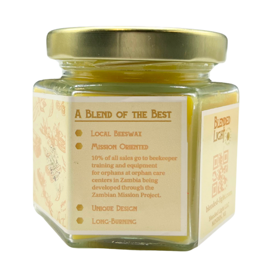 Cinnamon Vanilla Scented Candle | Multiple Sizes | Blended Light