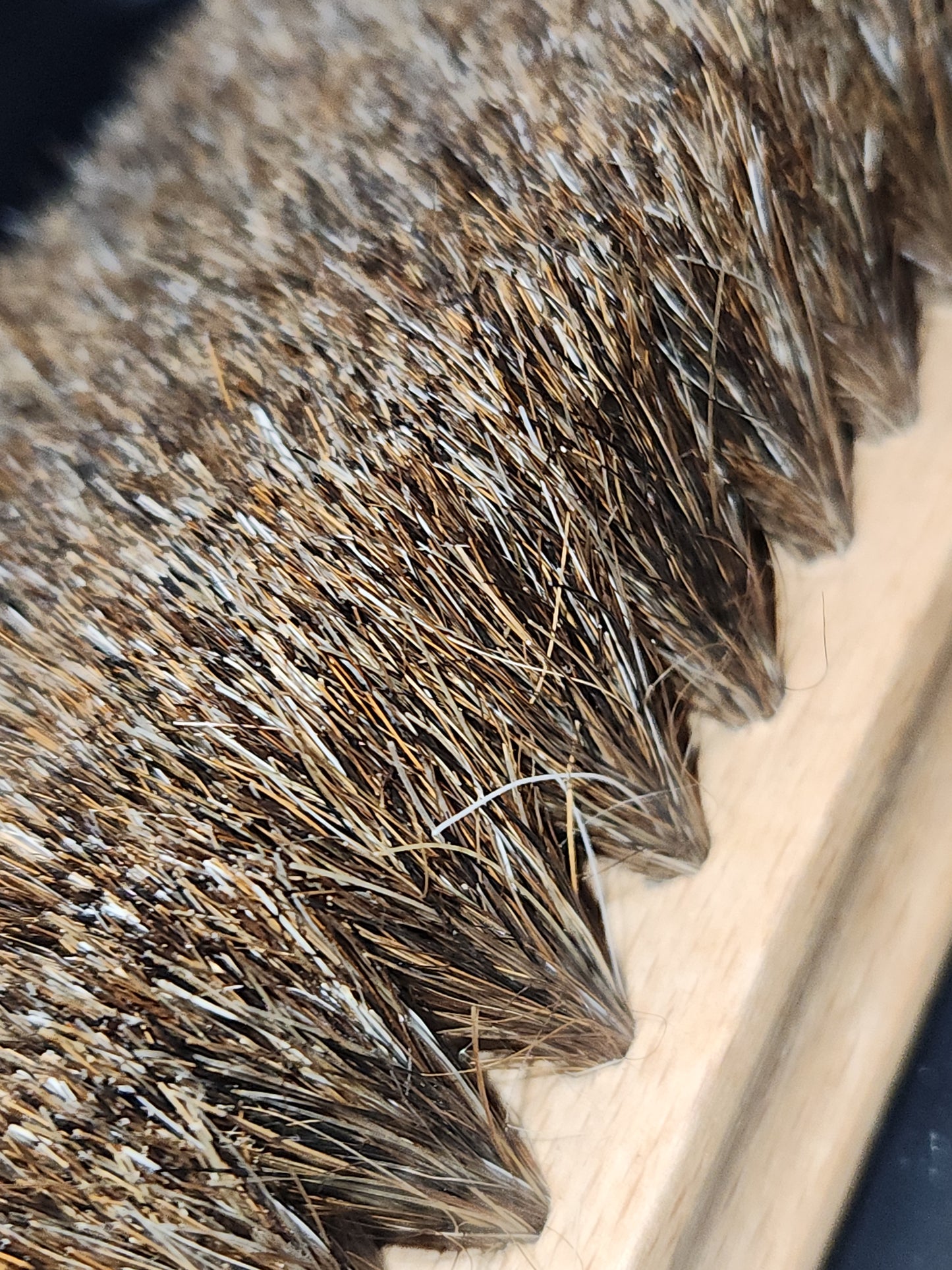Vintage Shoe Polish Brush Wooden Probable Horse Hair bh6