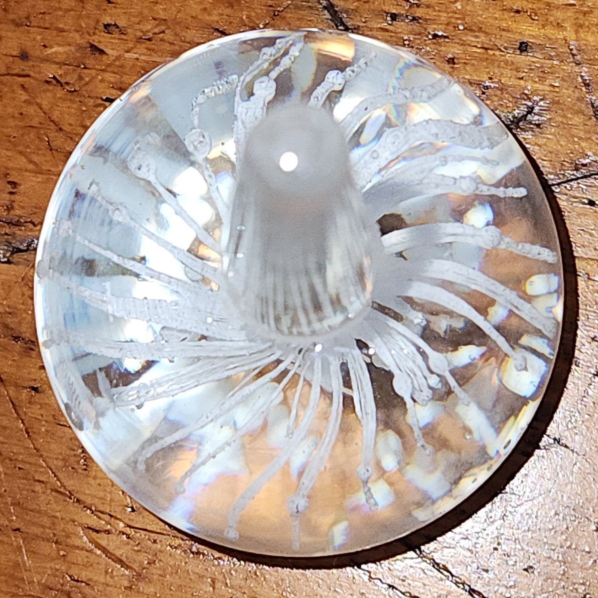 Vintage Paperweight Ring Holder Glass pw1