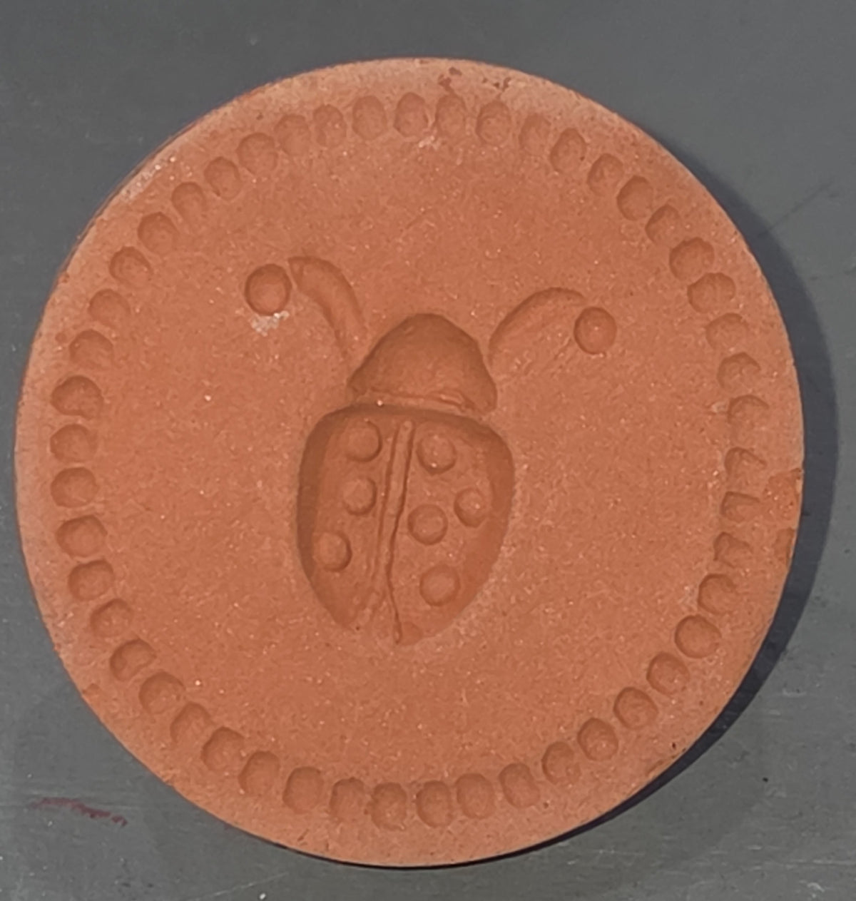 Vintage Cookie Stamp Rycraft Terra Cotta Ladybug Pattern As Is
