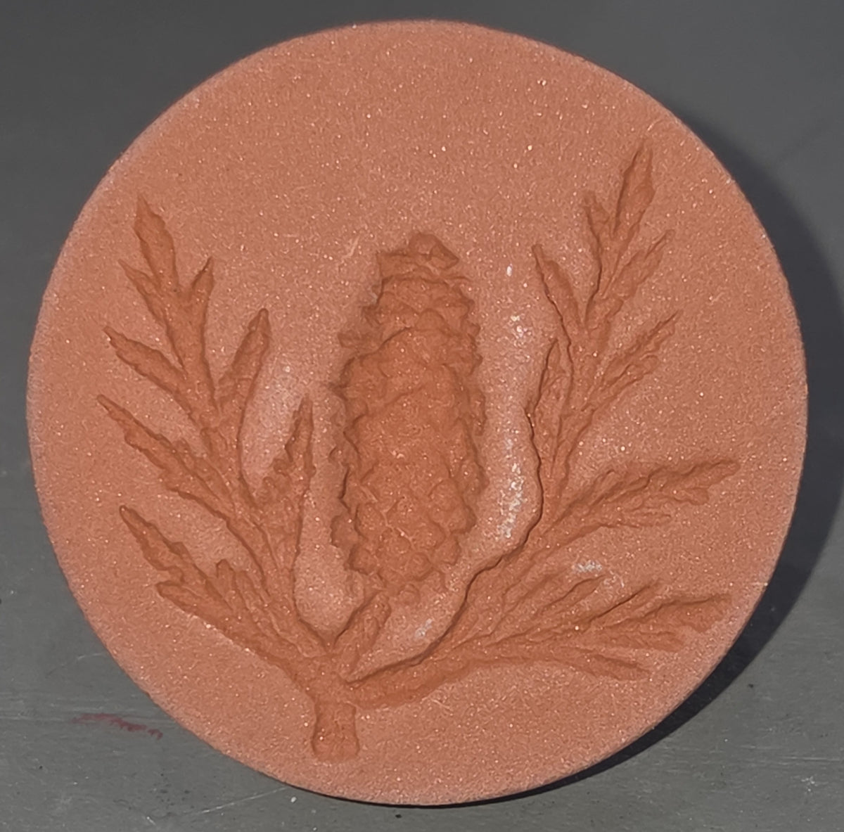 Vintage Cookie Stamp Rycraft Terra Cotta Pinecone and Pine Branches Pattern cs15