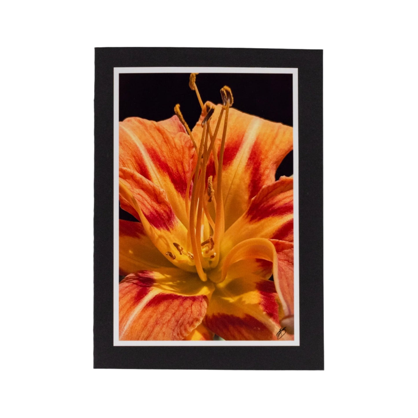 Black Greeting Card | Multiple Designs | KJ Made