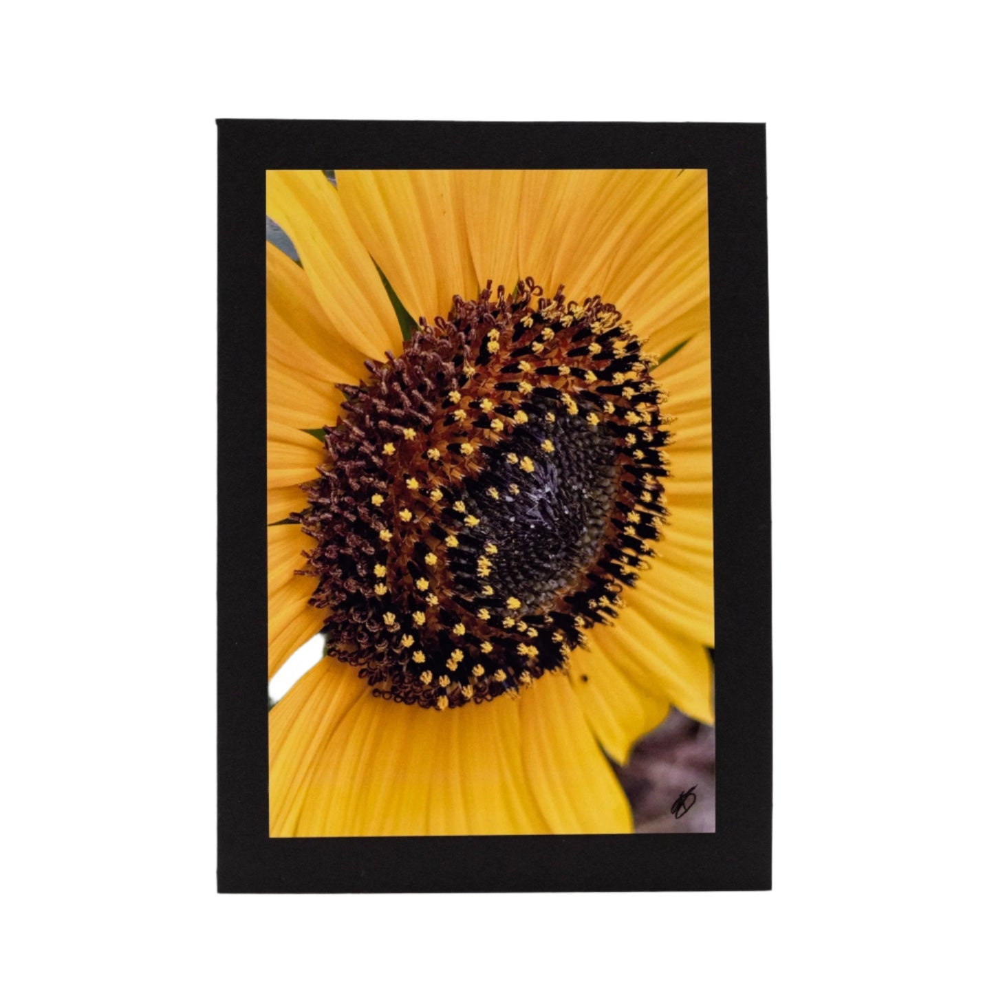 Black Greeting Card | Multiple Designs | KJ Made