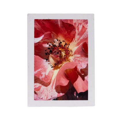 White Greeting Card | Multiple Designs | KJ Made