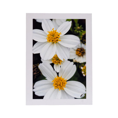 White Greeting Card | Multiple Designs | KJ Made