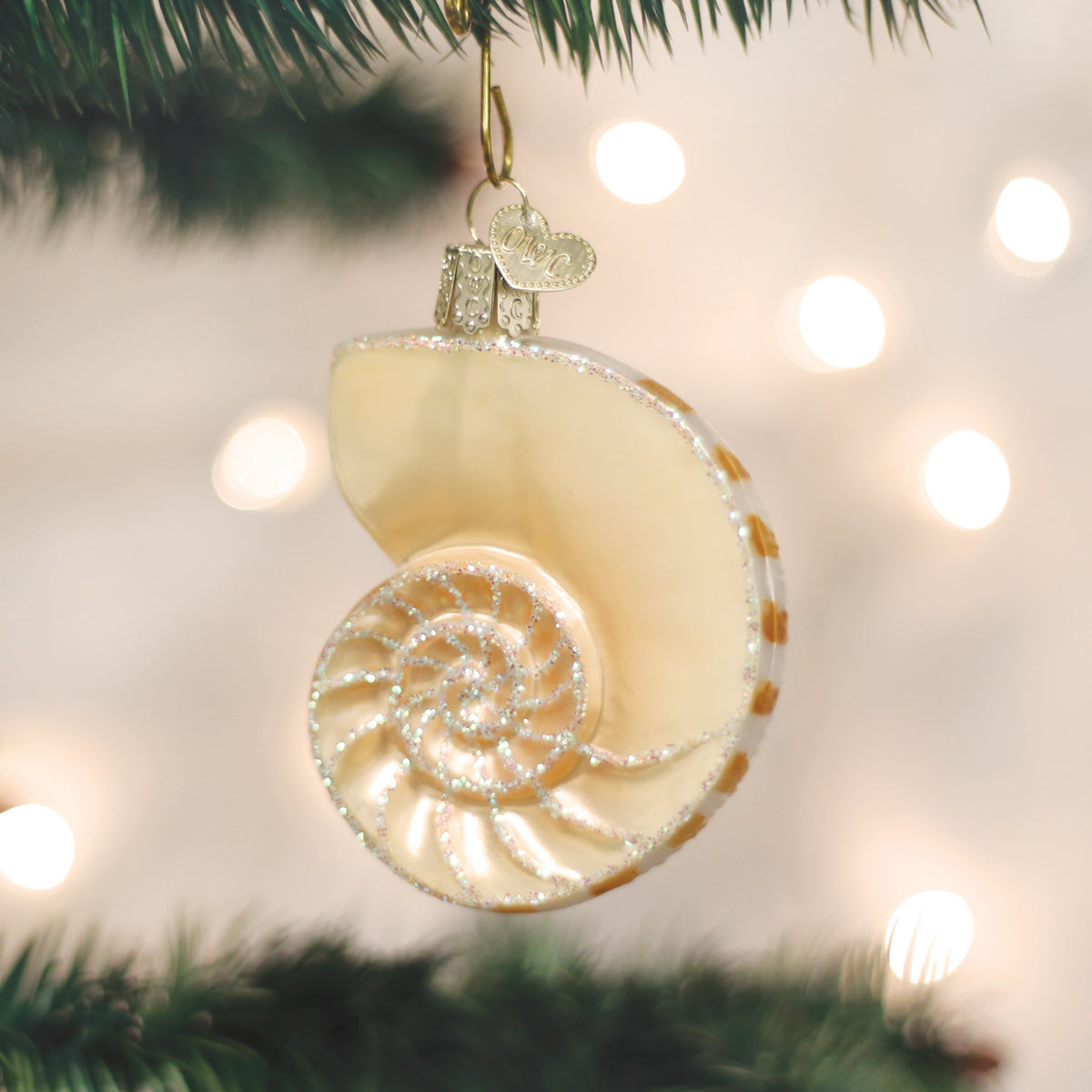 Nautilus Shell Ornament NOT AVAILABLE AT MINDEN STORE