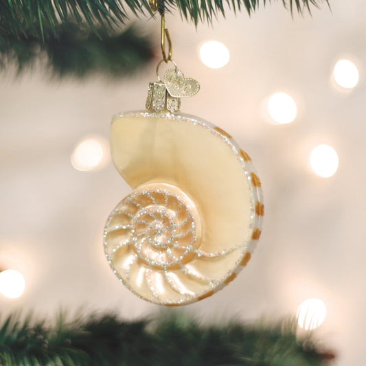 Nautilus Shell Ornament NOT AVAILABLE AT MINDEN STORE