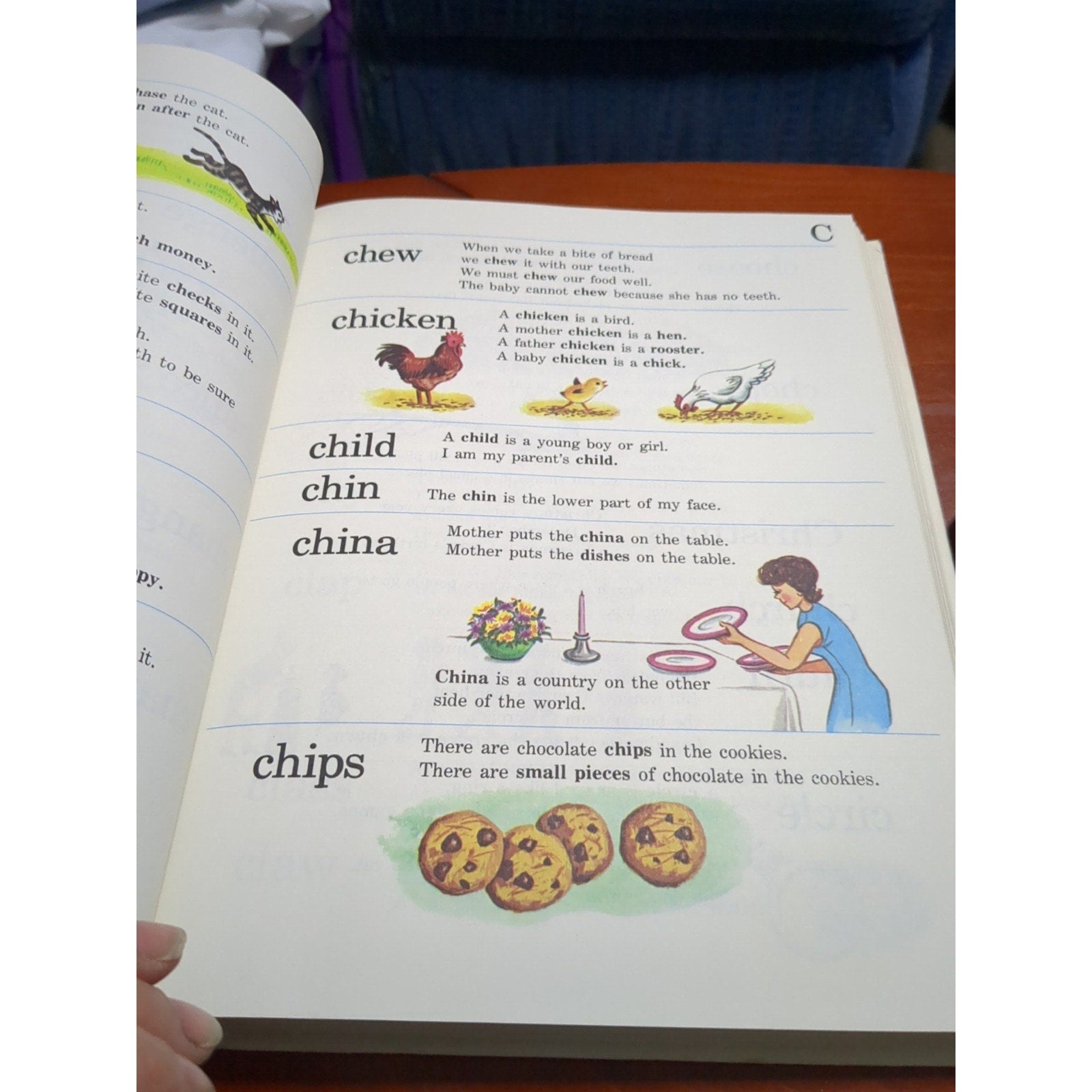 The New Color-Picture Dictionary for Children
