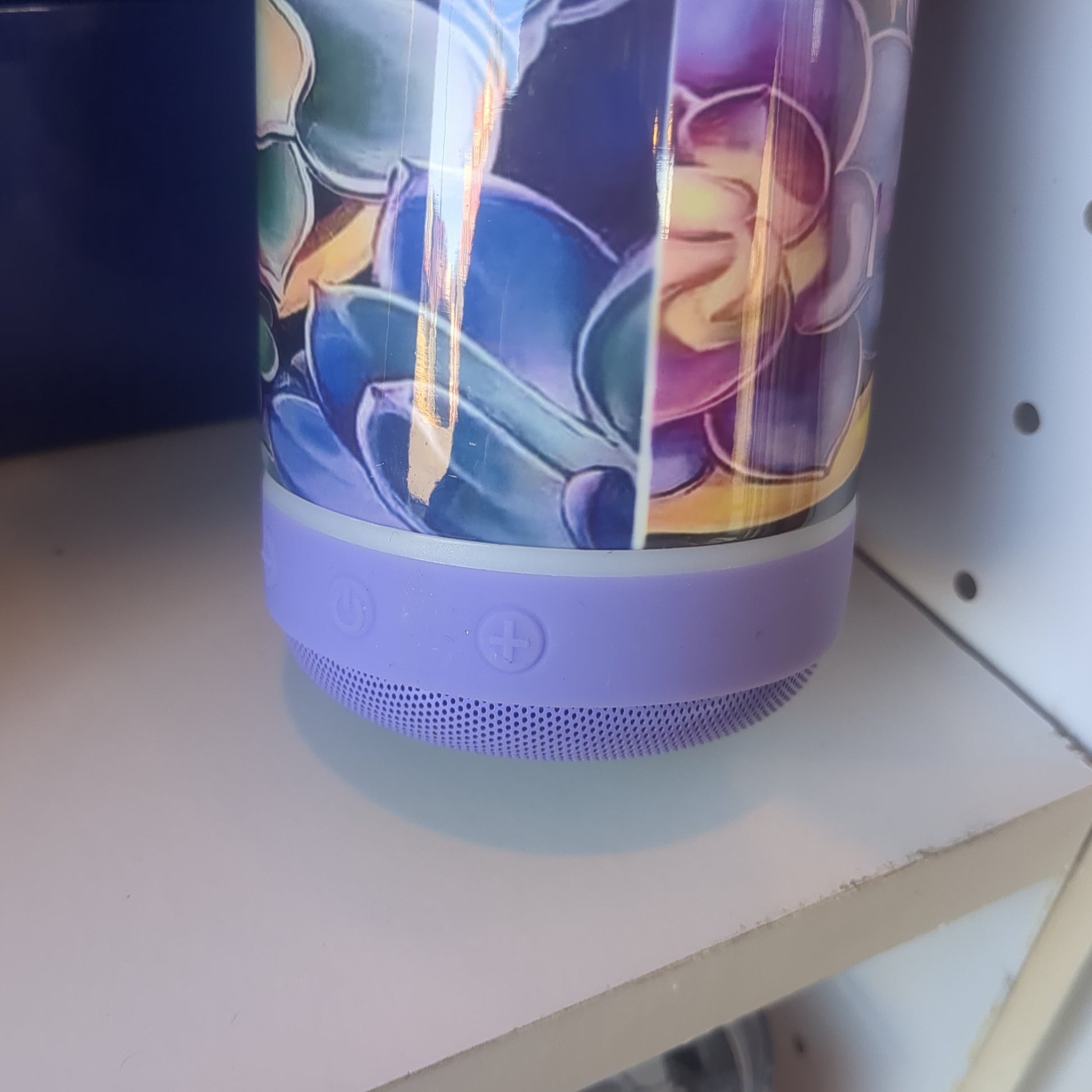 17 Oz Insulated Sstainless Steel Can Cooler Top and Tumbler Top with Purple, Rechargeable, Removeable Speaker Succulents st9