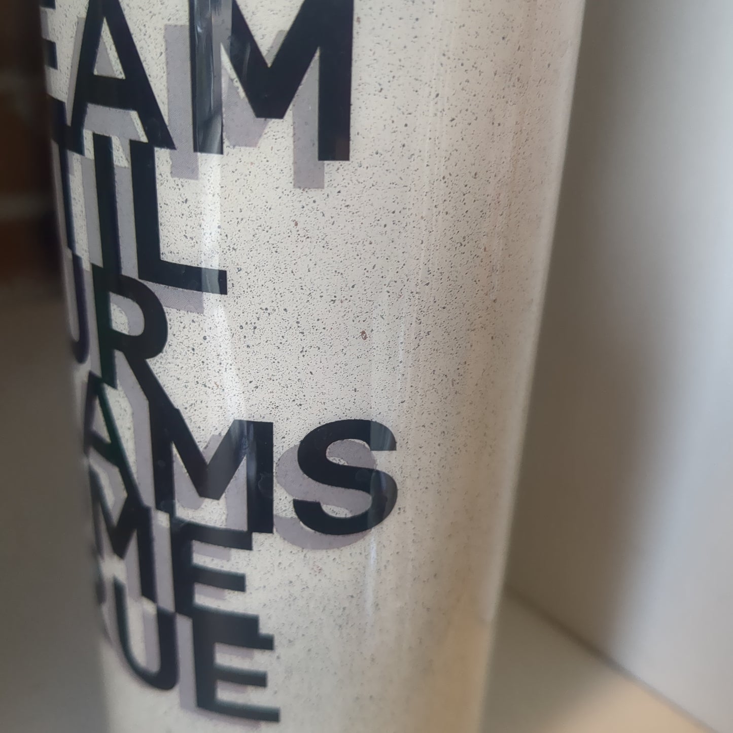 20 oz Stainless steel Tumbler Dream Until All Your Dreams Come True CLEARANCE
