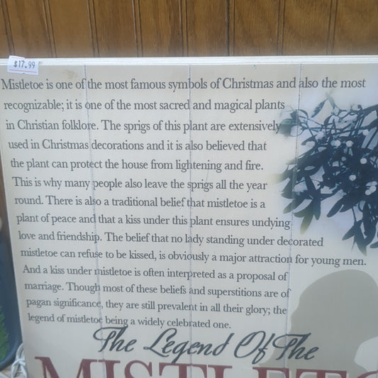 Mistletoe Sign csi2