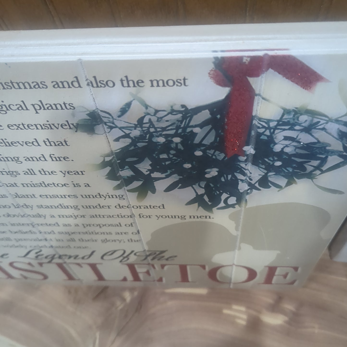 Mistletoe Sign