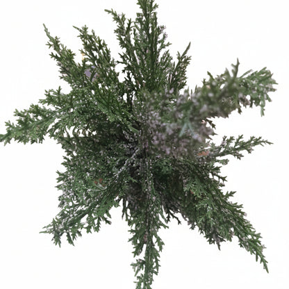 Snowy Mini Cedar Tree with Burlap Base, 11.5"