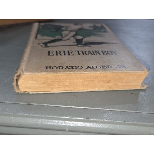 Vintage 1900 Erie Train Boy Horatio Alger Jr Book MA Donohue Baseball Cover