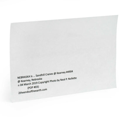 Sandhill Cranes Postcard | Nebraska Is ... Sandhill Cranes | 2 The Ends of the Earth