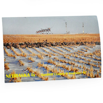 Sandhill Cranes Postcard | Nebraska Is ... Sandhill Cranes | 2 The Ends of the Earth