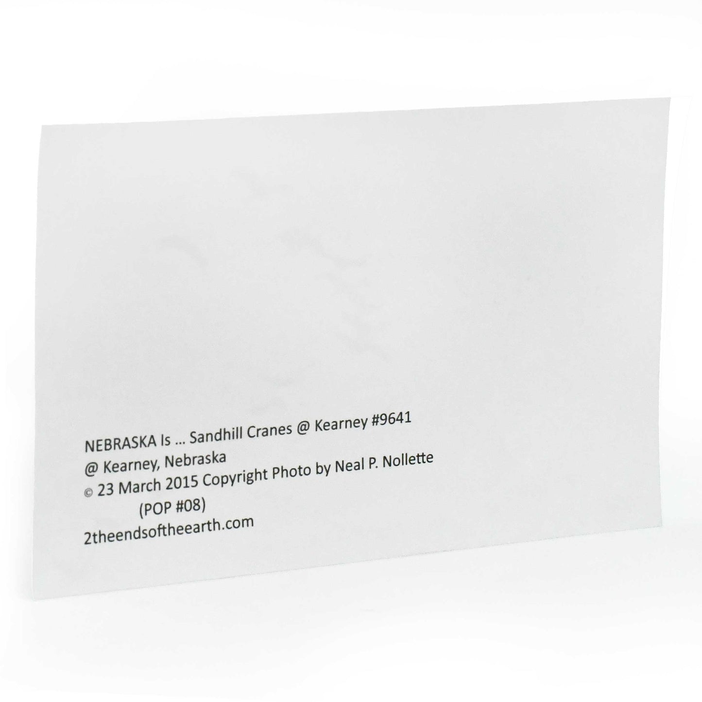 Sandhill Crane Postcard | Crane Formation | 4in x 6in | 2 The Ends of the Earth