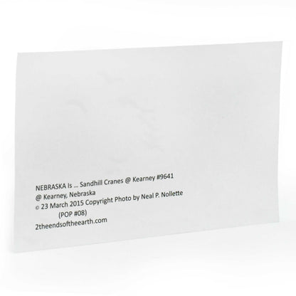 Sandhill Crane Postcard | Crane Formation | 4in x 6in | 2 The Ends of the Earth