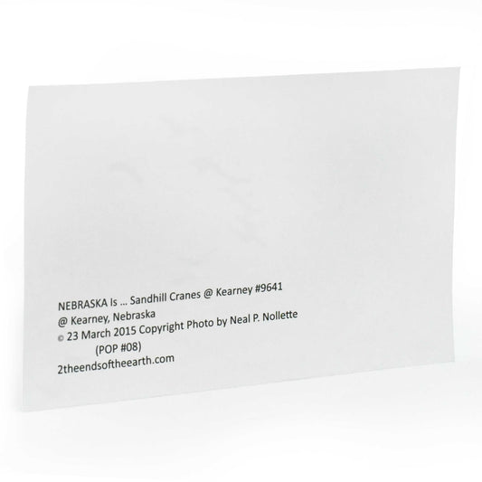 Sandhill Crane Postcard | Crane Formation | 4in x 6in | 2 The Ends of the Earth