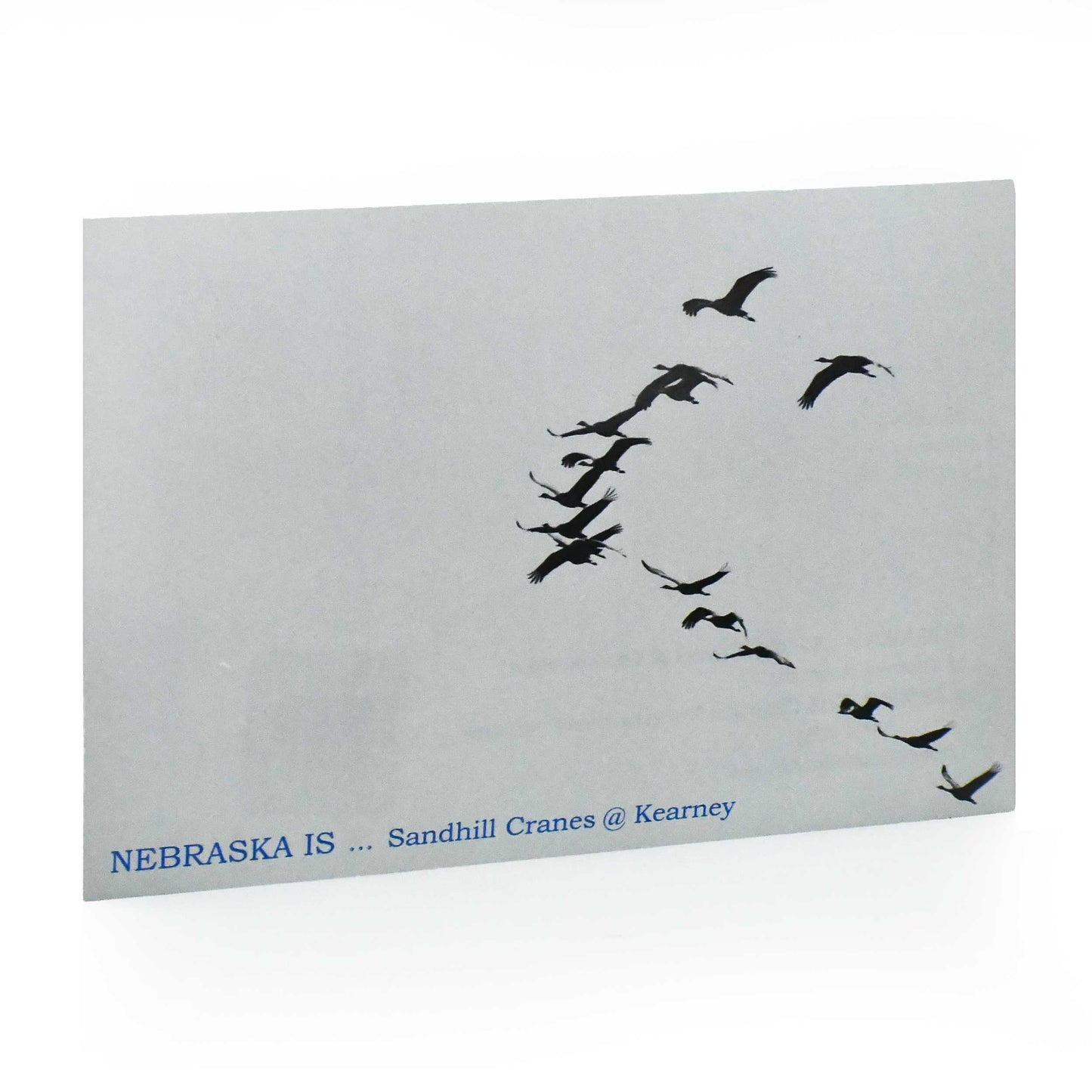 Sandhill Crane Postcard | Crane Formation | 4in x 6in | 2 The Ends of the Earth