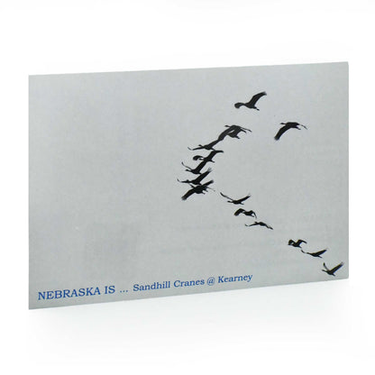 Sandhill Crane Postcard | Crane Formation | 4in x 6in | 2 The Ends of the Earth