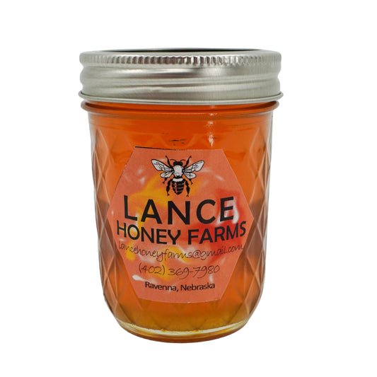 SALE | Brazilian Pepper "Christmas" Honey | 12 oz | Lance Honey Farms
