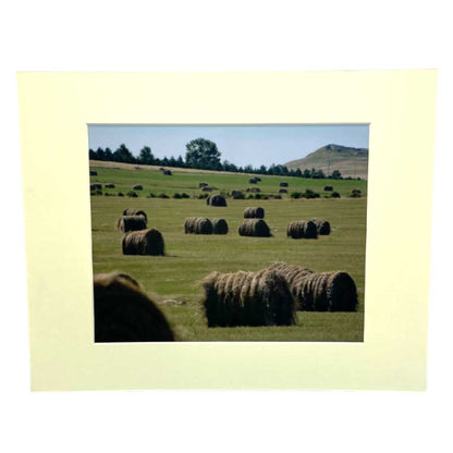 “Summer Harvest” | 8x10 Photograph | 2 The Ends of the Earth