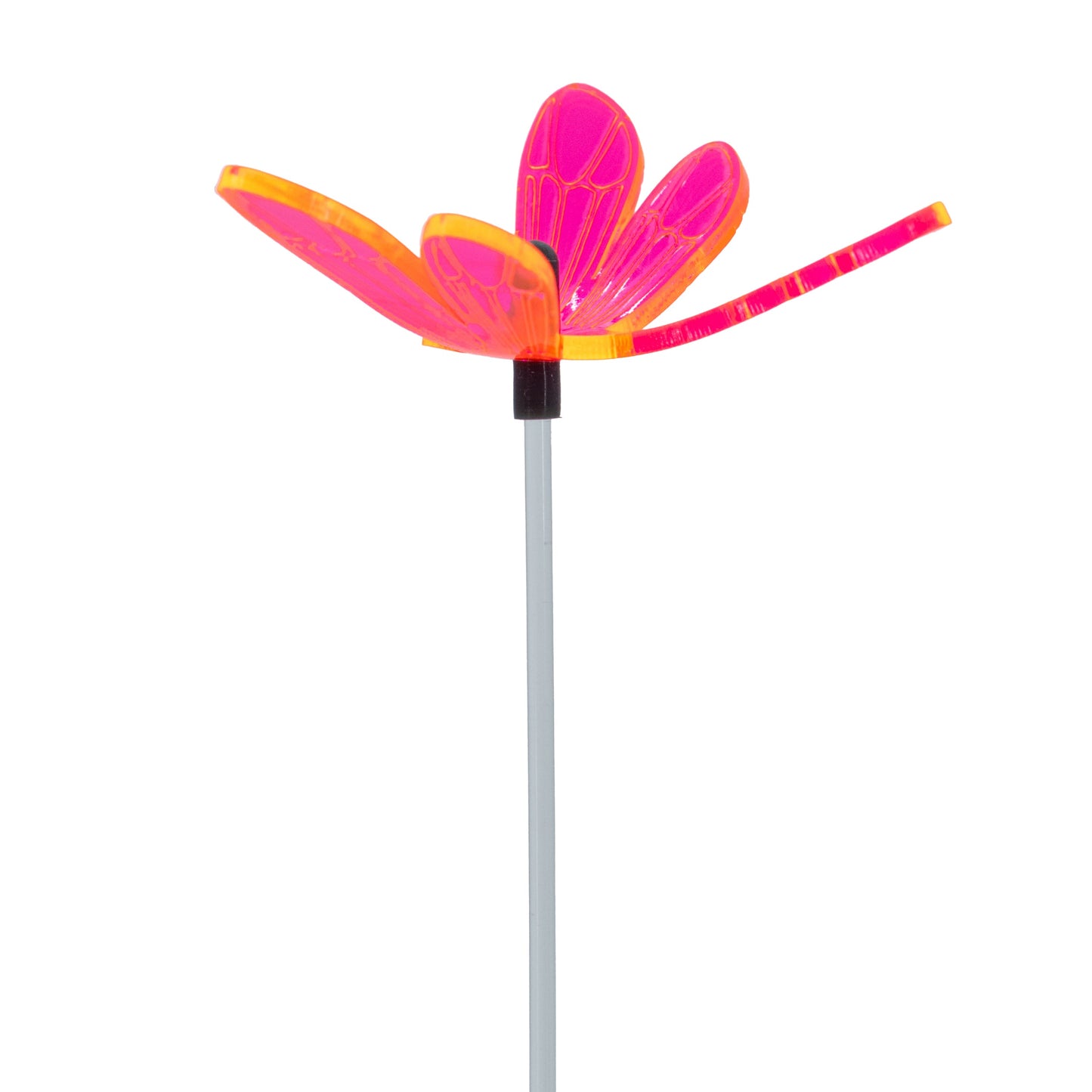 Large Garden Dragonfly | Multiple Colors | Glowing Creation