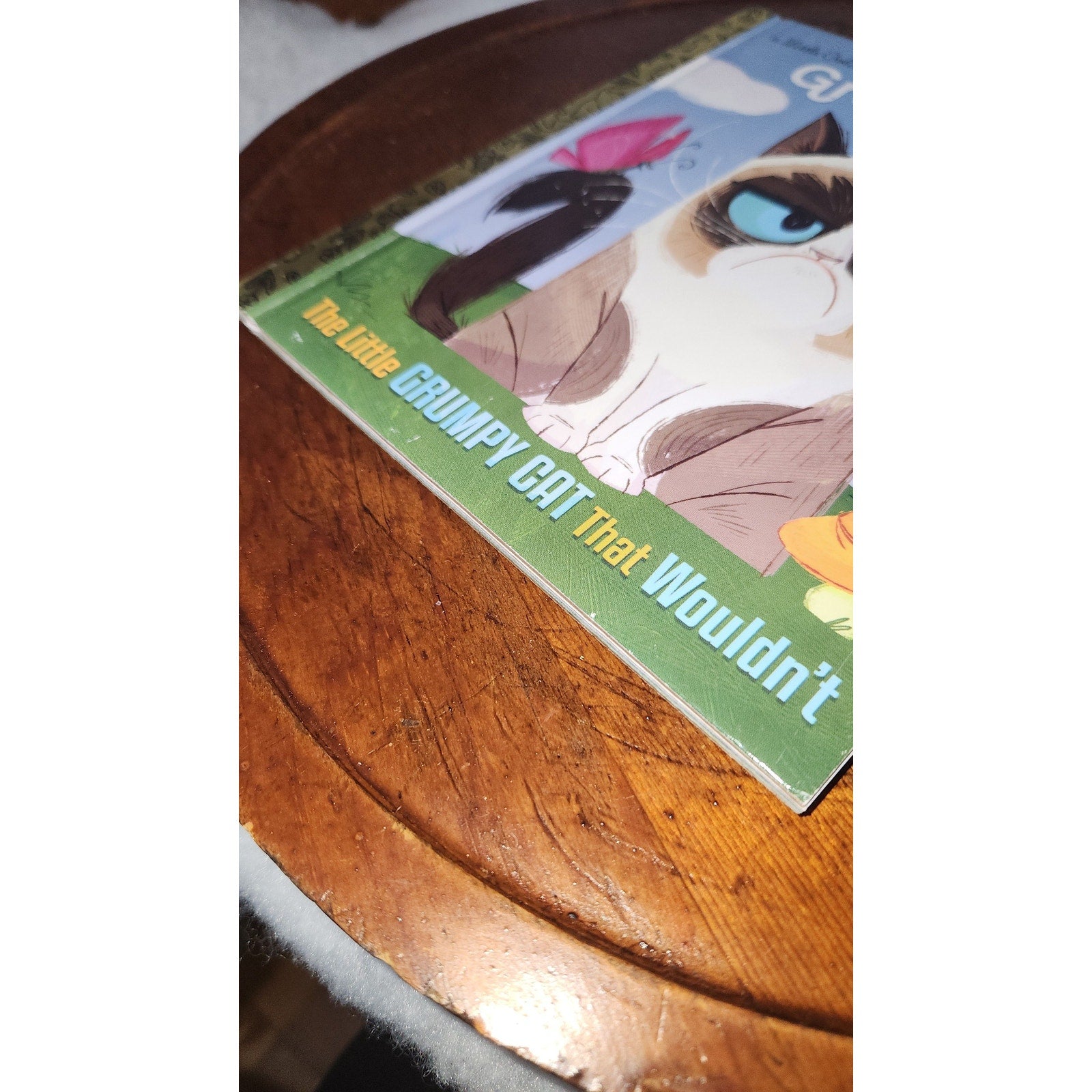 Little Golden Book Grumpy Cat bk30
