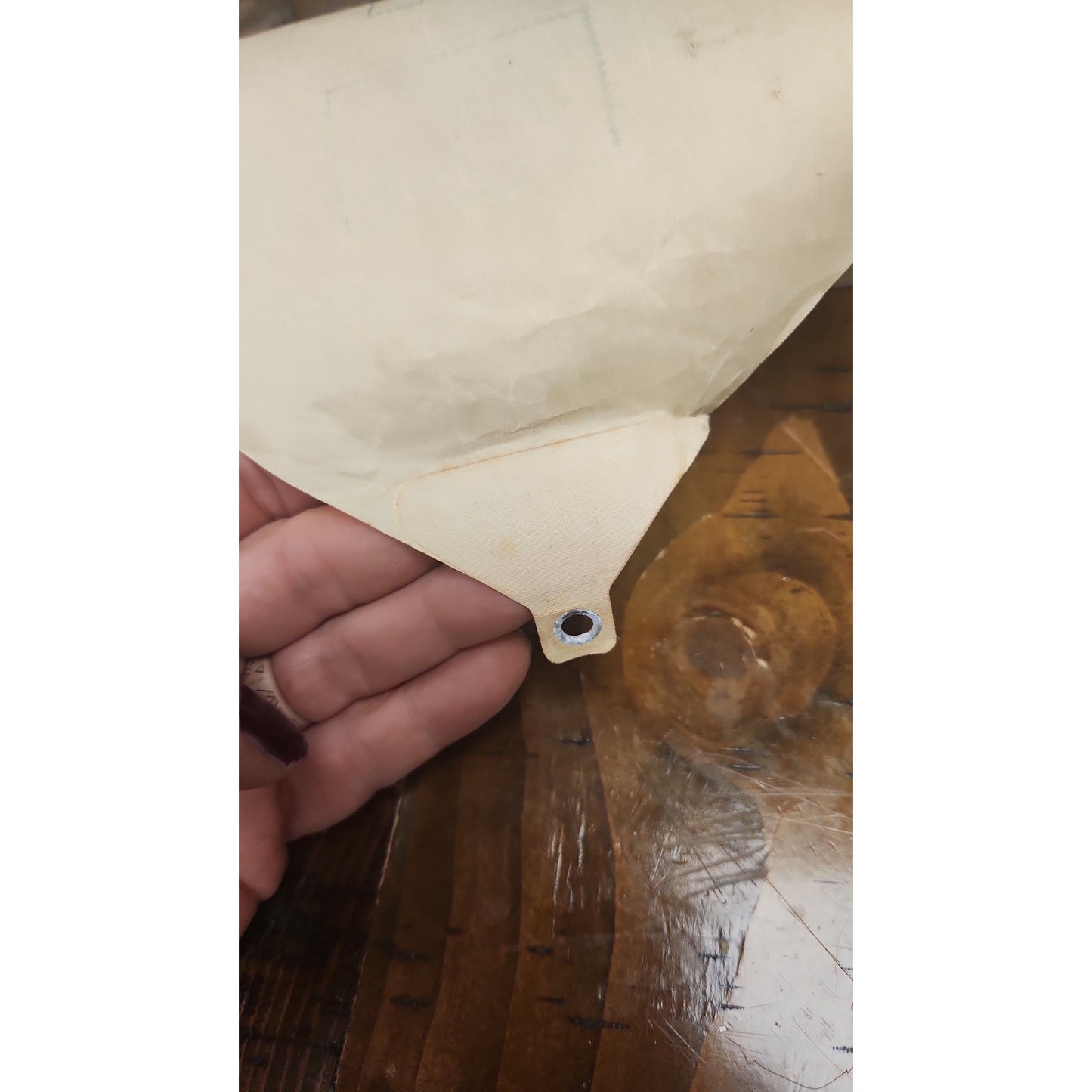 Vintage QRS Player Piano Word Roll "The Honeydripper" J. Lawrence Cook
