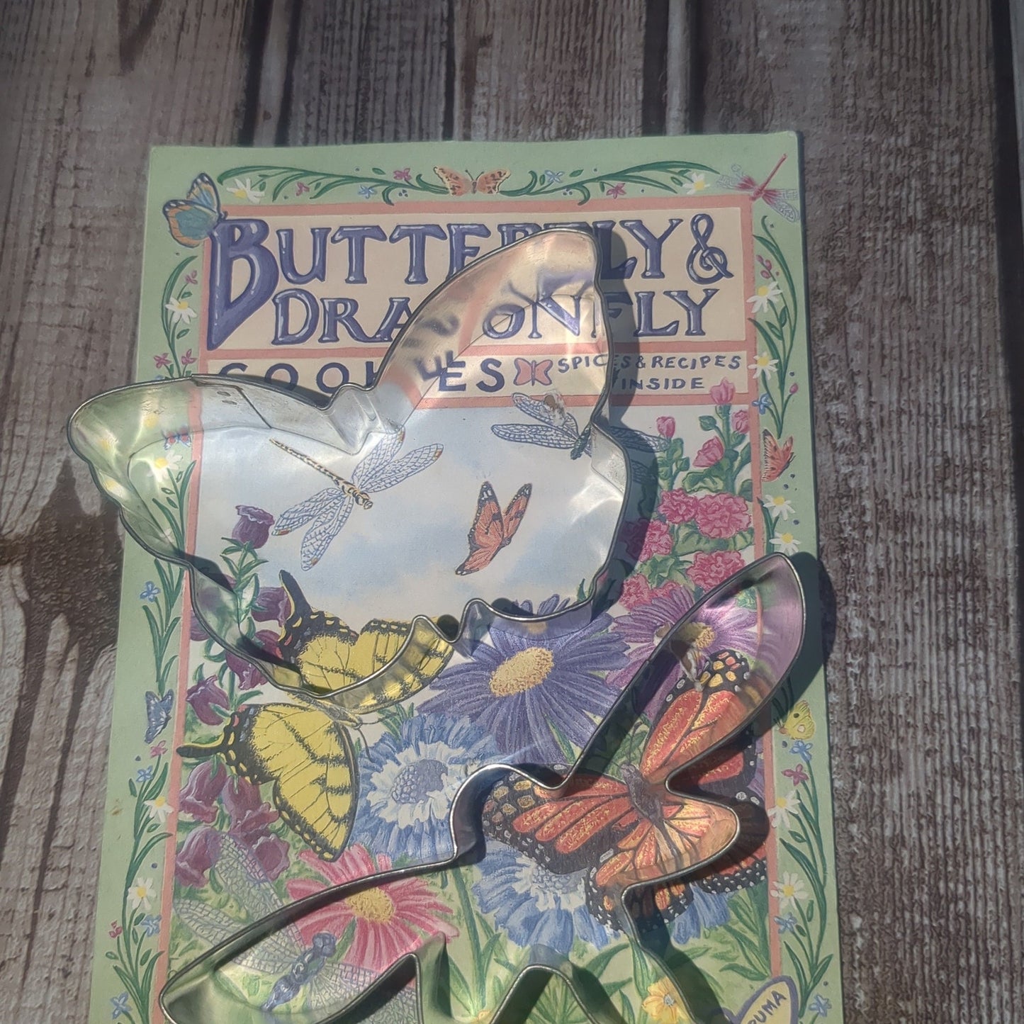 Vintage Butterfly and Dragonfly Cookie Cutter Patricia Lynn Bradley PB2