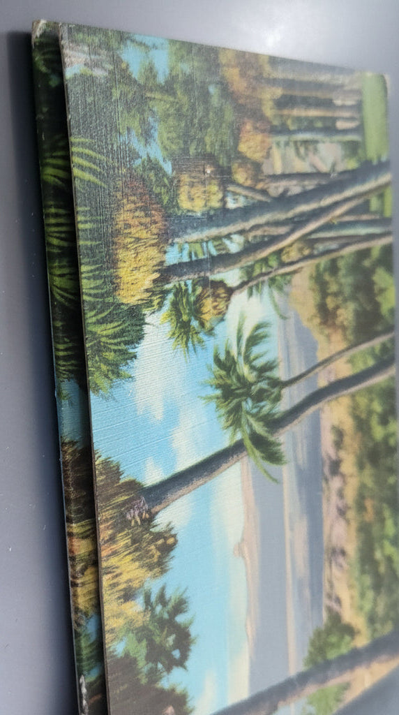Vintage Desert Scenes of California Folding Postcard Wallet