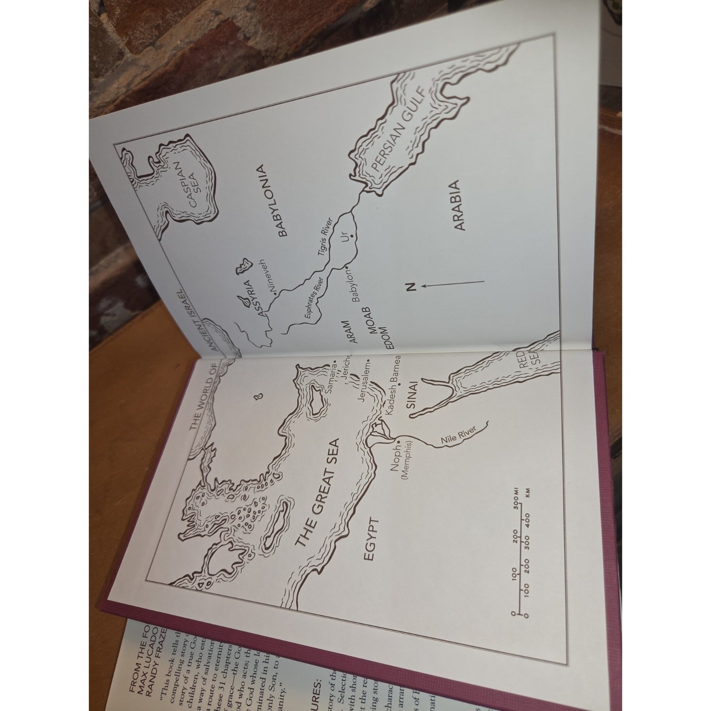 The Story: The Bible Story MAX lucado Randy Frazee Hardcover Book 2011
