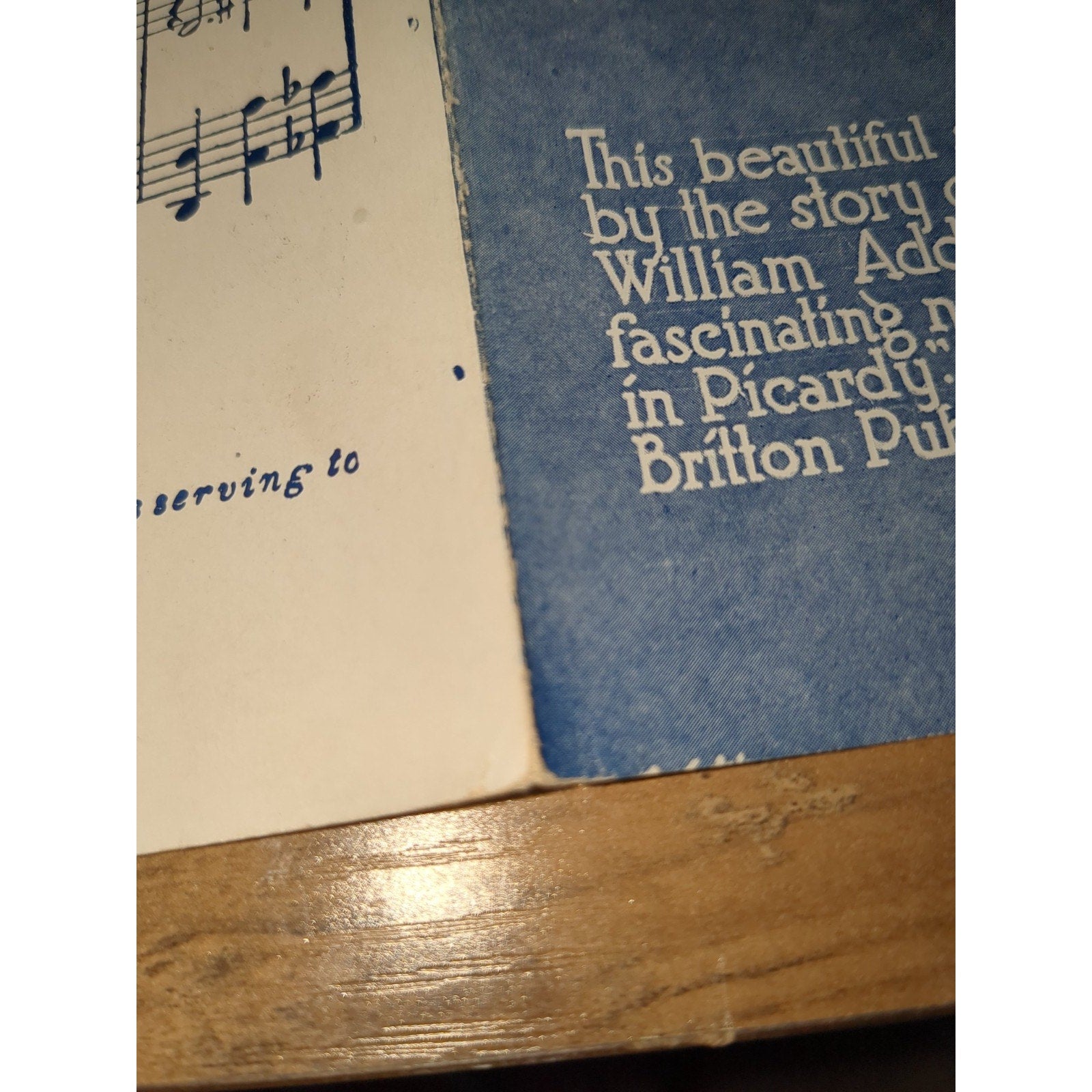 When It's Love Time In Picardy 1919 WWI Pretty Girl Vintage Sheet Music