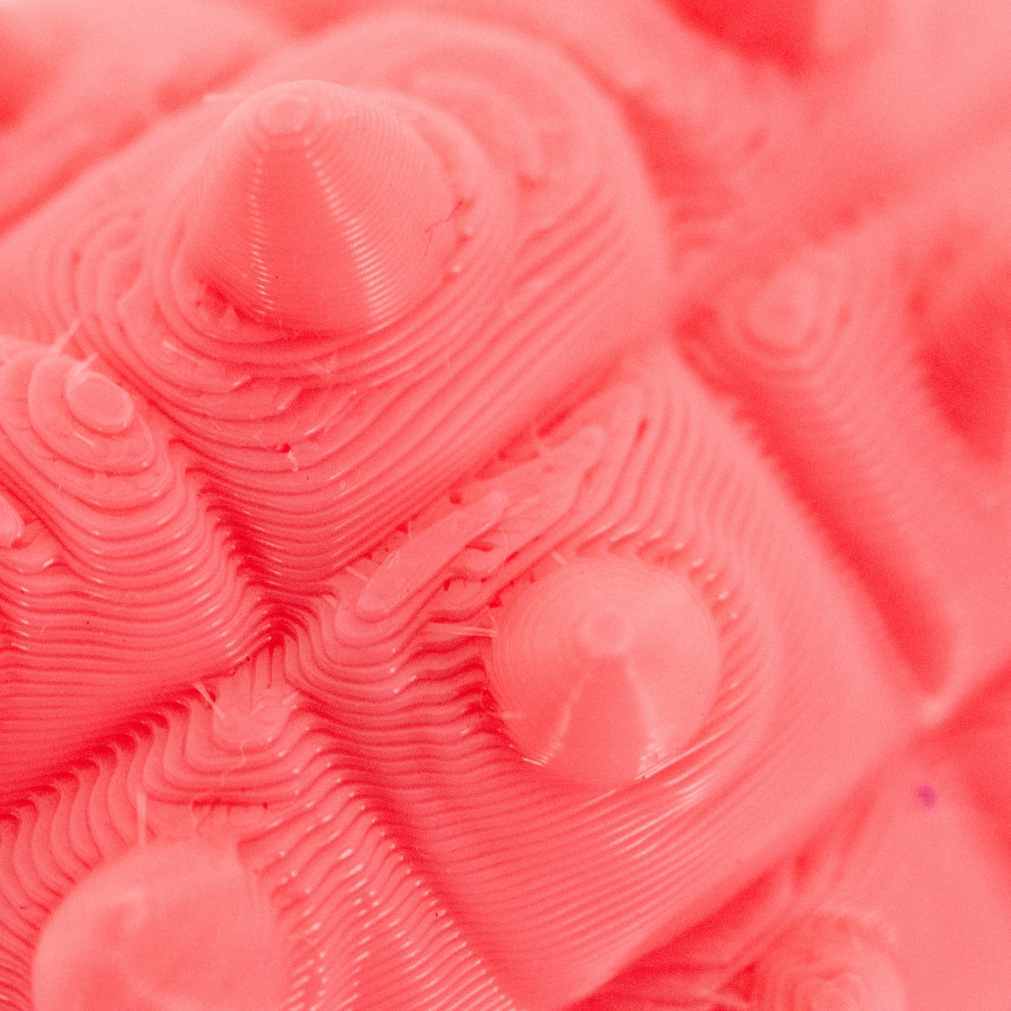 3D Printed Ankylosaurus Dinosaur Fidget | Mutliple Colors | Black Sheep Products LLC