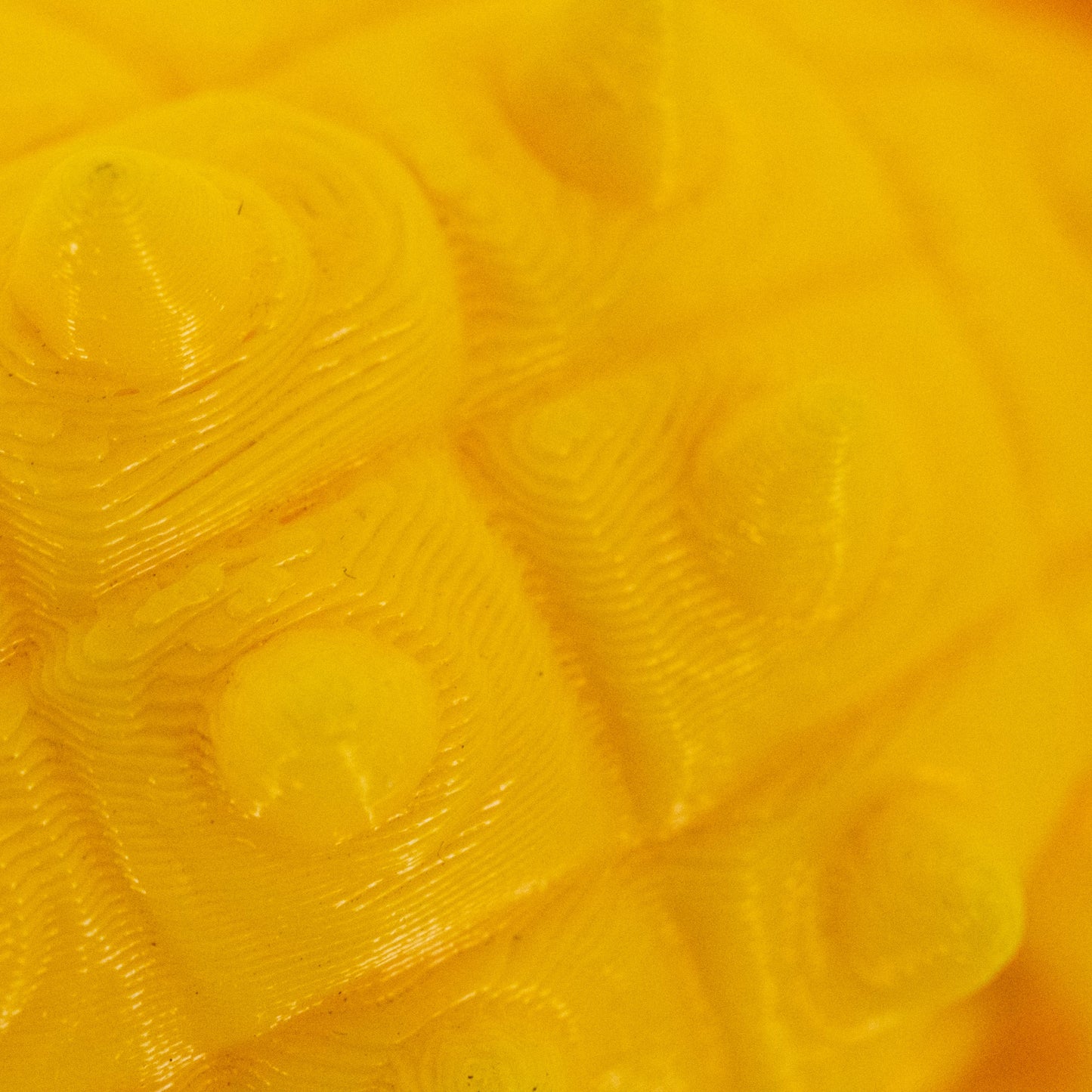 3D Printed Ankylosaurus Dinosaur Fidget | Mutliple Colors | Black Sheep Products LLC