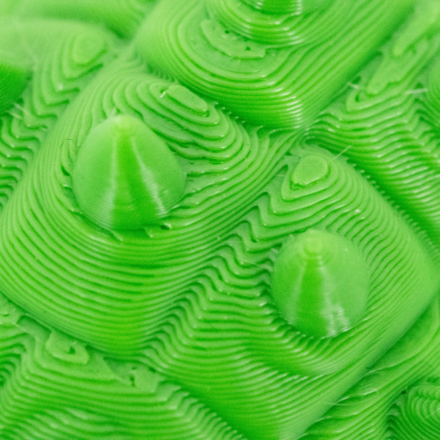 3D Printed Ankylosaurus Dinosaur Fidget | Mutliple Colors | Black Sheep Products LLC