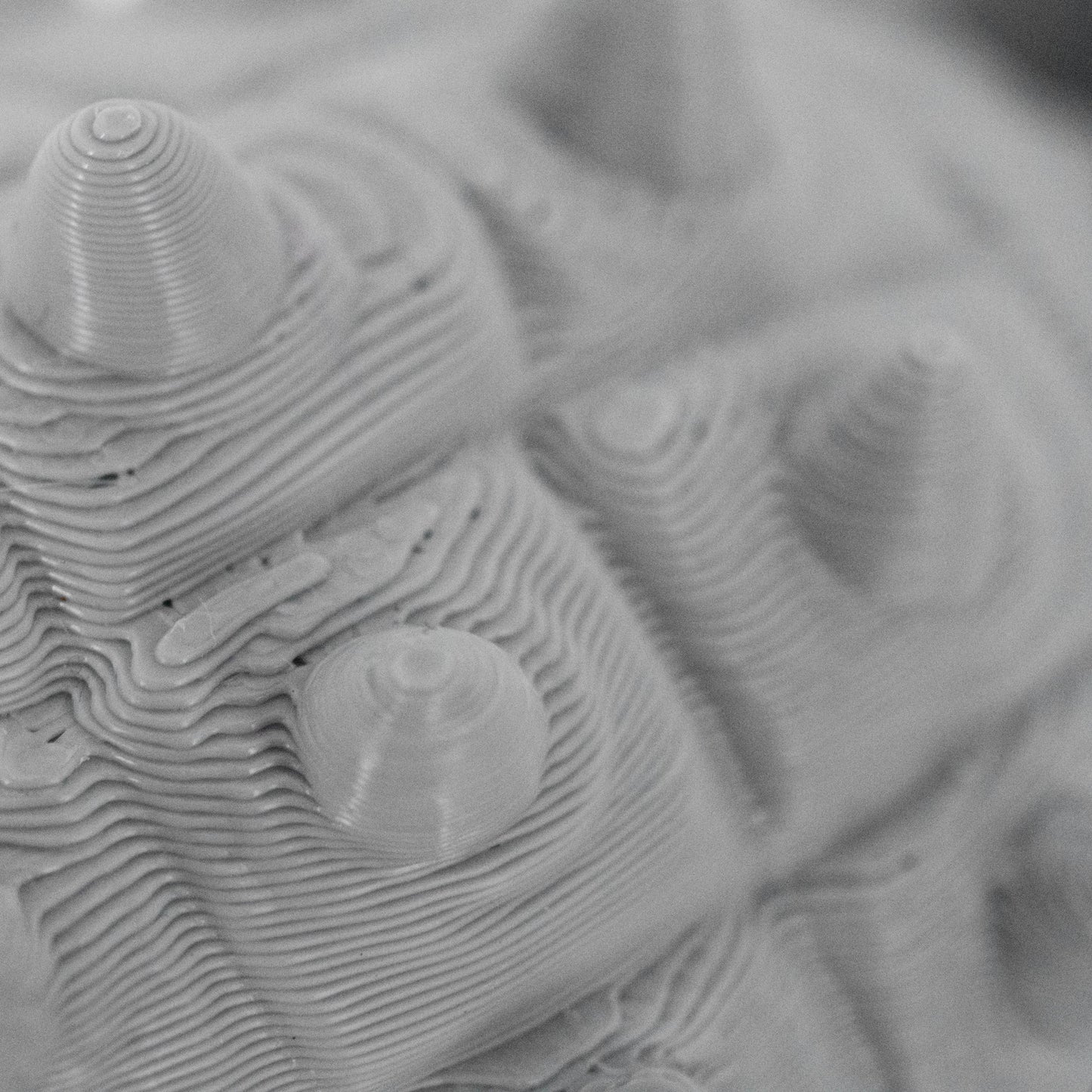 3D Printed Ankylosaurus Dinosaur Fidget | Mutliple Colors | Black Sheep Products LLC
