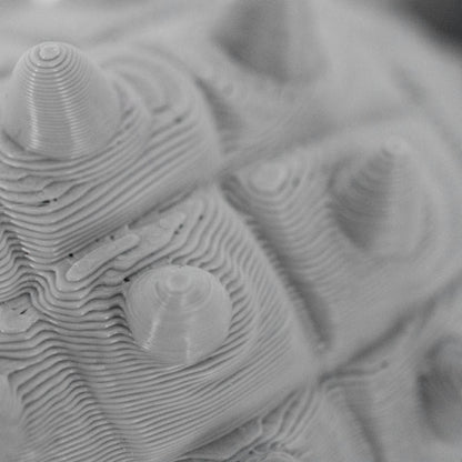 3D Printed Ankylosaurus Dinosaur Fidget | Mutliple Colors | Black Sheep Products LLC
