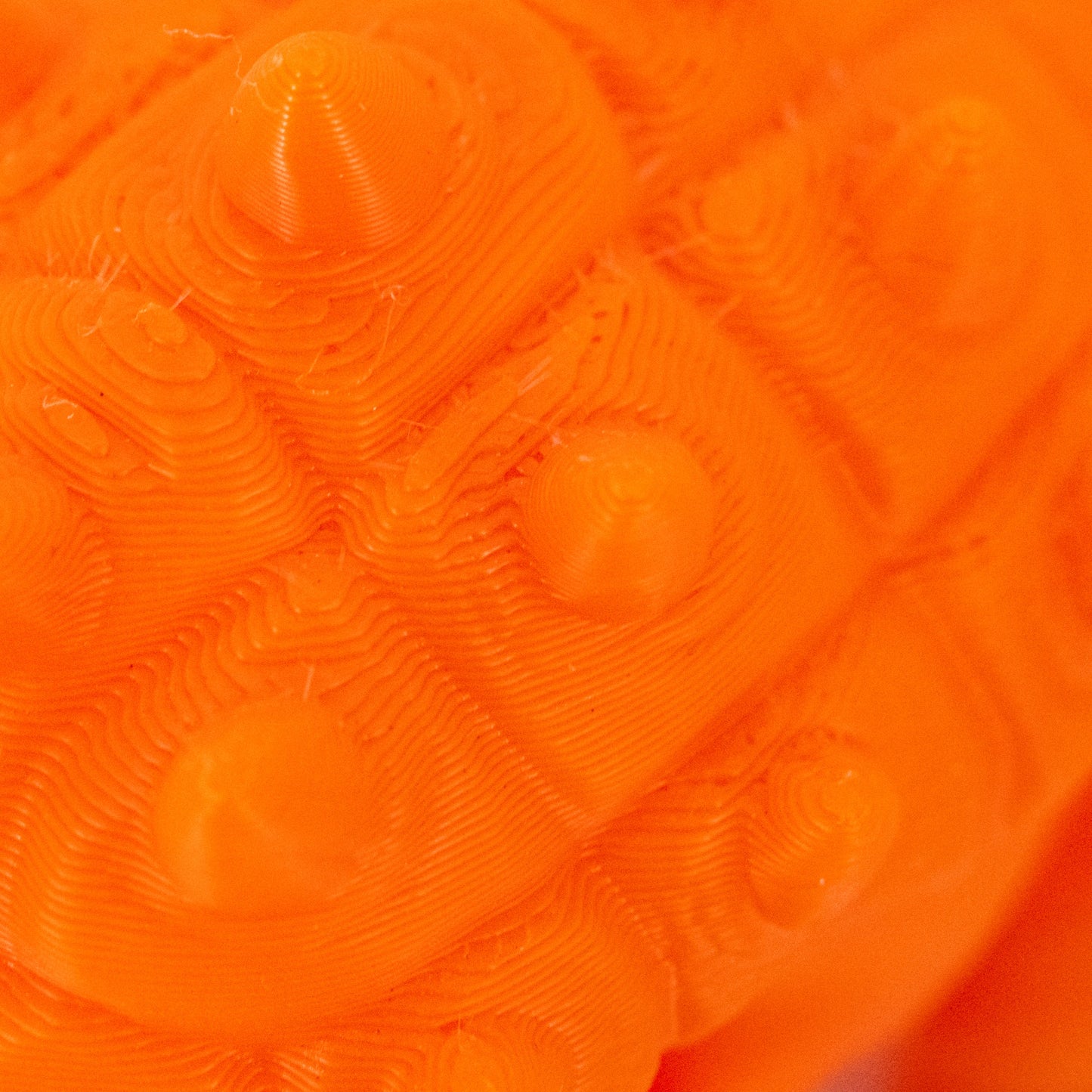 3D Printed Ankylosaurus Dinosaur Fidget | Mutliple Colors | Black Sheep Products LLC