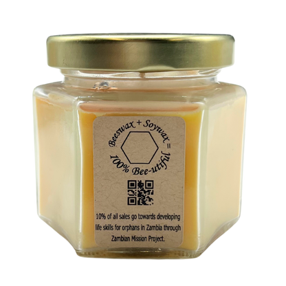 Aspen Winter Scented Candle | Multiple Sizes | Blended Light