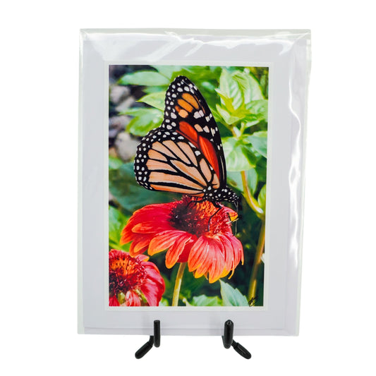 White Greeting Card | Multiple Designs | KJ Made Monarch Butterfly
