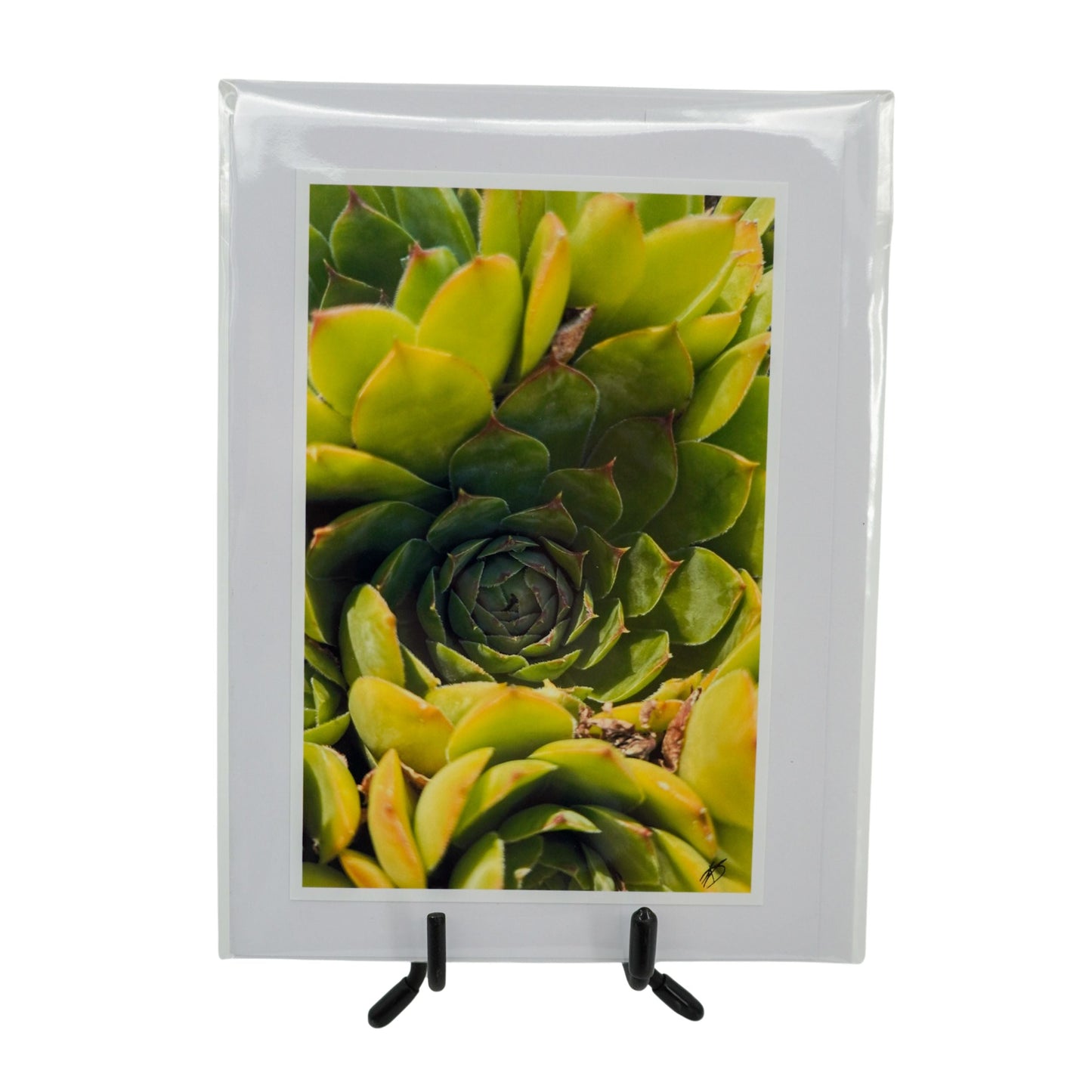 White Greeting Card | Multiple Designs | KJ Made