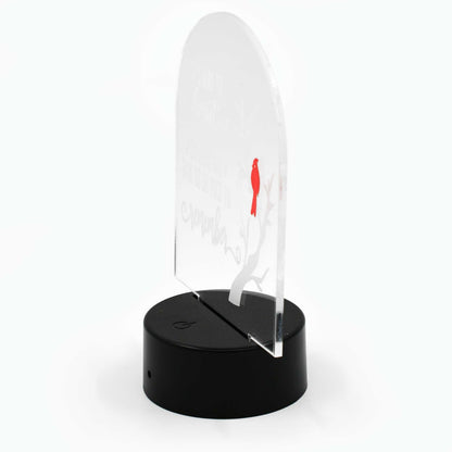 Customizable LED Lighted Memorial Plaque | Create Your Own | Glowing Creation