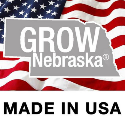 Big Red Christmas by Ginger ten Bensel