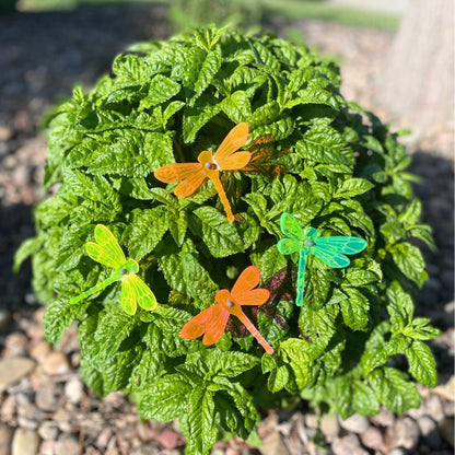 Small Dragonfly Yard Decor | Variety 4 Pack | Shipping Included | Glowing Creation